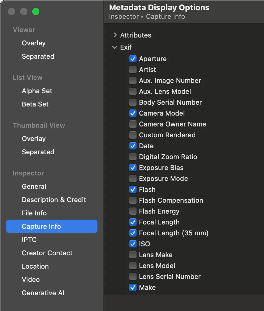 Metadata options screenshot