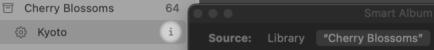 Inspect smart album rules icon