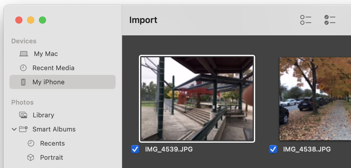 The import window showing the left sidebar and some marked items.