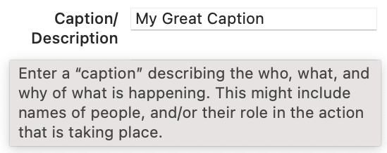 A tooltip presented by hovering the mouse over a field's title
